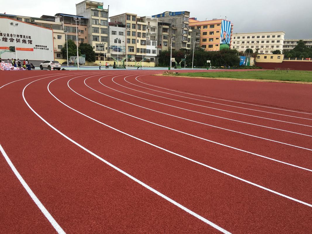 河源市学校塑胶跑道塑胶跑道材料 - 厂家